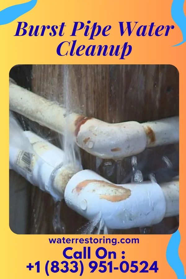 Burst Pipe Water Cleanup in Erwin, SD