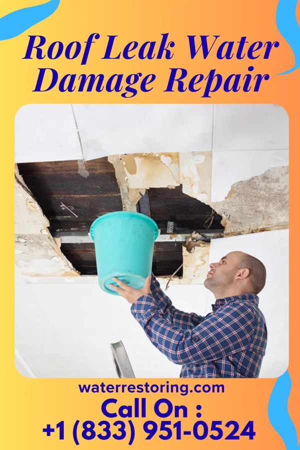 Roof Leak Water Damage Repair in Erwin, SD
