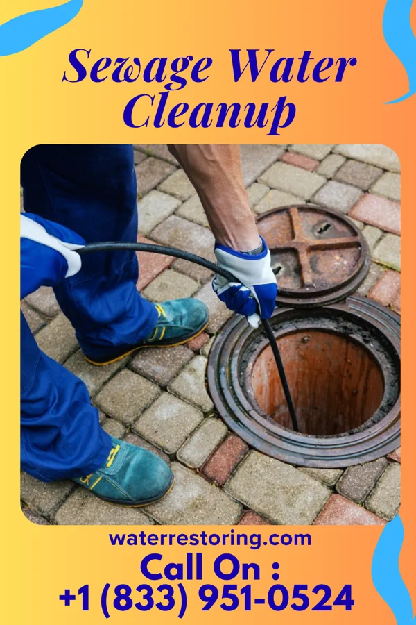 Sewage Water Cleanup in Erwin, SD